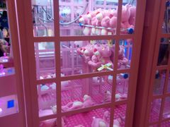 -汤姆熊欢乐世界(罗斯福店)