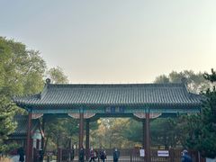 -北陵公园
