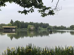 -苏州太湖国家湿地公园