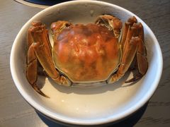 -夫妻肺片·中华老字号·正宗川菜(春熙路店)