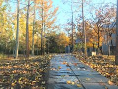 -中家鑫园温泉酒店鑫悦汤泉