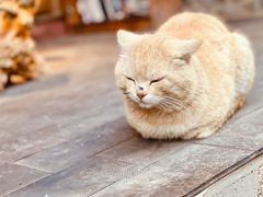 -炊烟餐厅