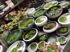 -秦美花卉(天朗·莱茵小城2期店)