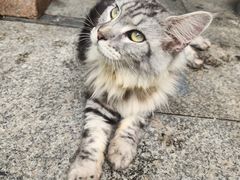 -了能菜·传统特色粤菜·虫宴
