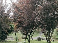 -石塘人家