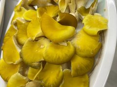 -小厨家松花江.鲜鱼坊(天麻滋补鱼汤店)