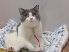 -拜鲁耶动物诊疗中心·宠家动物医院