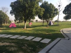 -无锡梁鸿湿地丽笙度假酒店·流觞西餐厅