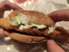 -麦当劳(朝阳北路店)