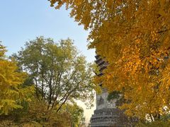 -玲珑塔公园