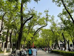 -农园餐厅(北京大学店)