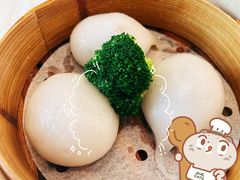 -金汇酒楼(中山东区店)