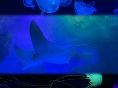 -常州海昌海洋探索馆