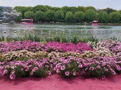 -上海鲜花港