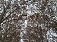 -河南省黄河迎宾馆