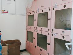 -全心全意连锁动物医院·微创中心·内科急重症·心脏专科(丰管路店)