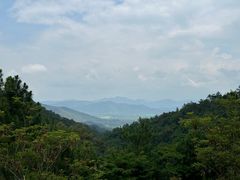 -广州白江湖森林公园