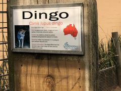 -费瑟代尔野生动物园