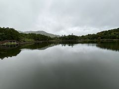 -海南热带雨林国家公园吊罗山景区