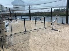 -盐城丹顶鹤湿地生态旅游区