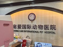 -宠爱国际动物医院·消化内科·心肾内科·ISFM猫友好(望京店)