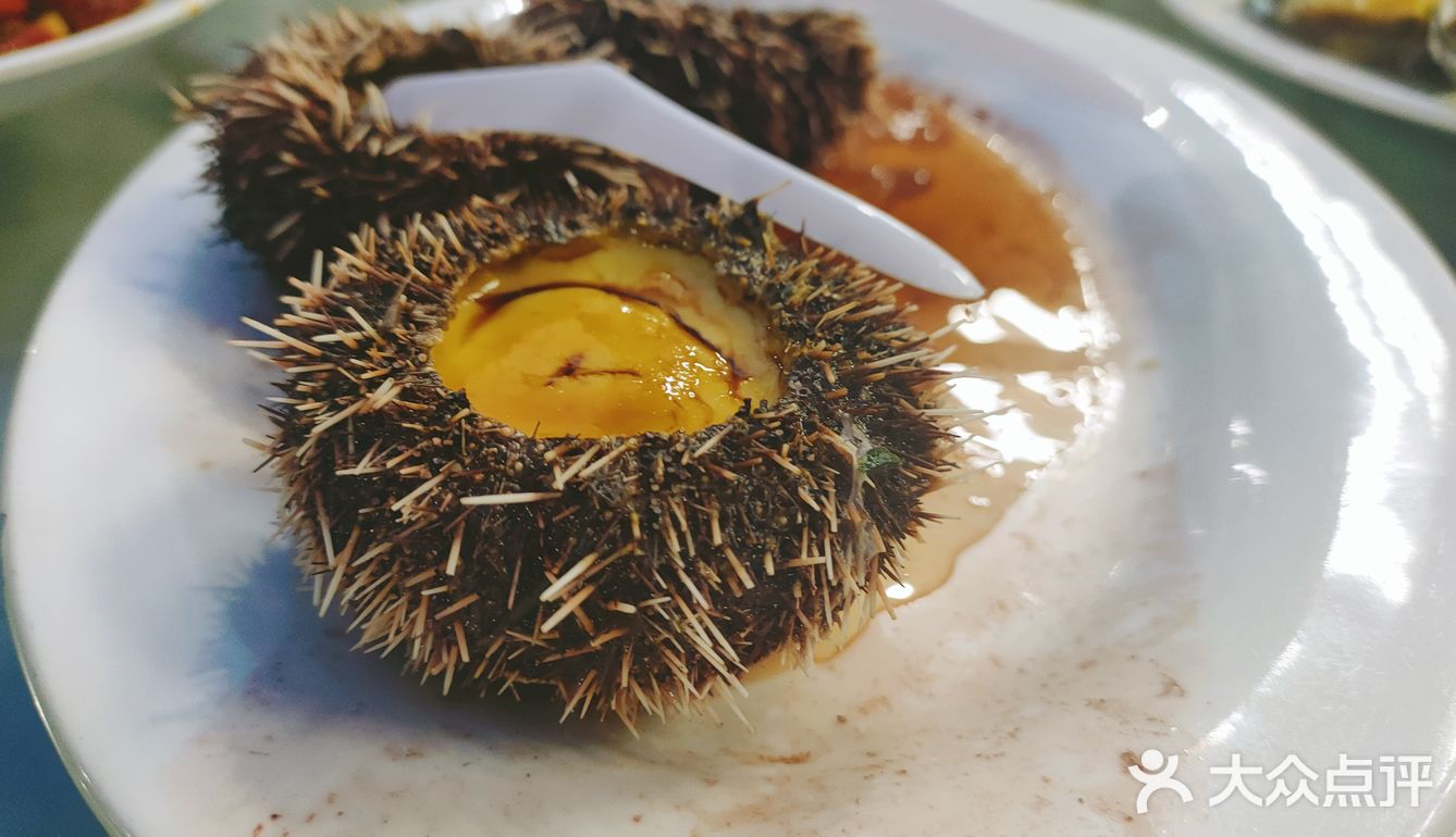 🌴🌴海口吃海鲜好去处——划算省心不费脑🐙🐟🐠🐚