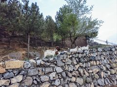 -白草畔自然风景区