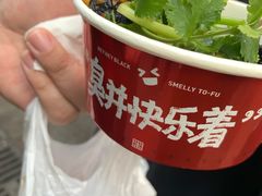 -黑色经典臭豆腐·湖南特产(坡子街店)