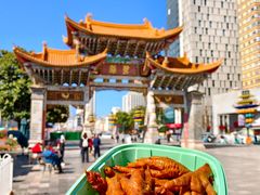 -顺城金记卤鸡·清真