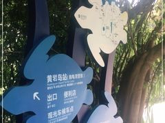 -广东惠东海龟国家级自然保护区