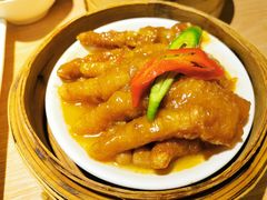 -南枝记