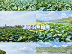 -西湖风景名胜区(西湖)