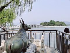 -颐和园