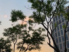 -鄂尔多斯博源豪生大酒店