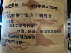 -青岛海底世界-水族馆