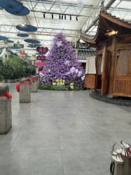 点击看大图 -特味村·宴会厅(生态园店)