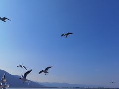 -滇池海埂公园