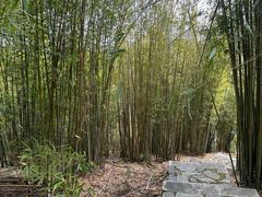 -潜山国家森林公园