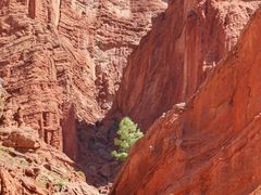 -天山神秘大峡谷