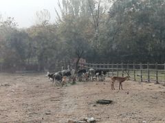 -西安秦岭野生动物园