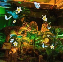 -恐龙探索乐园(磁器口店)