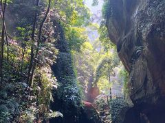 -赤水丹霞旅游区·佛光岩