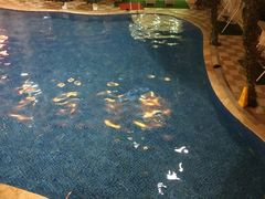 -碧水豪园·足浴·SPA·汗蒸·那须汤泉(中山东路店)