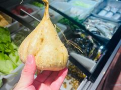 -仙店农庄