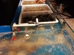 -星伦多自助料理·涮烤一体(嘉兴八佰伴店)