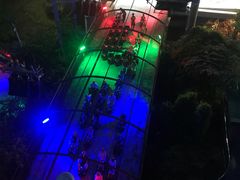 -圣淘沙天际线斜坡滑车