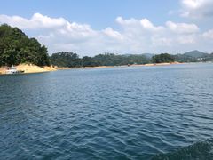 -广州市流溪河国家森林公园