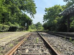 -波尔登森林公园