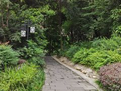 -成都市活水公园