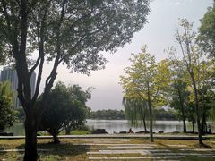 -南翔镇银翔湖公园